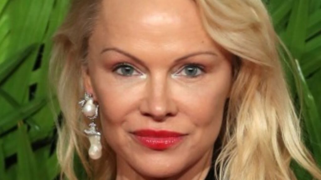 Pamela Anderson Net Worth 2020 Relationship, Career, Life Pinekun