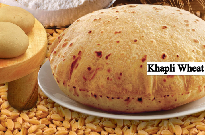 Khapli Wheat