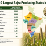 Top 10 Largest Bajra Producing States in India