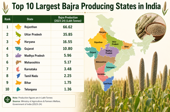 Top 10 Largest Bajra Producing States in India