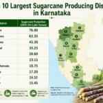 Top 10 Largest Sugarcane Producing District in Karnataka