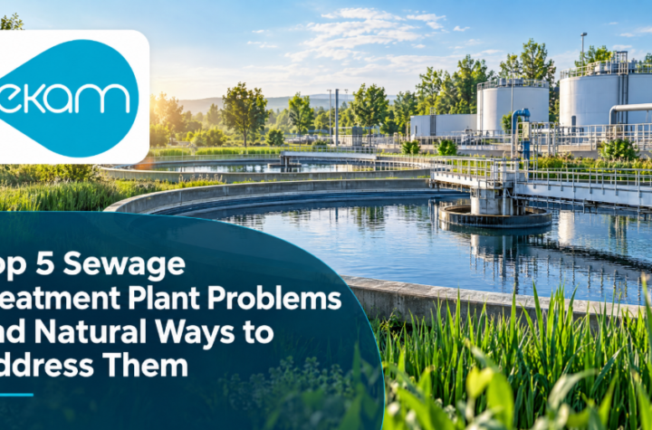 Sewage Treatment Plant Problems